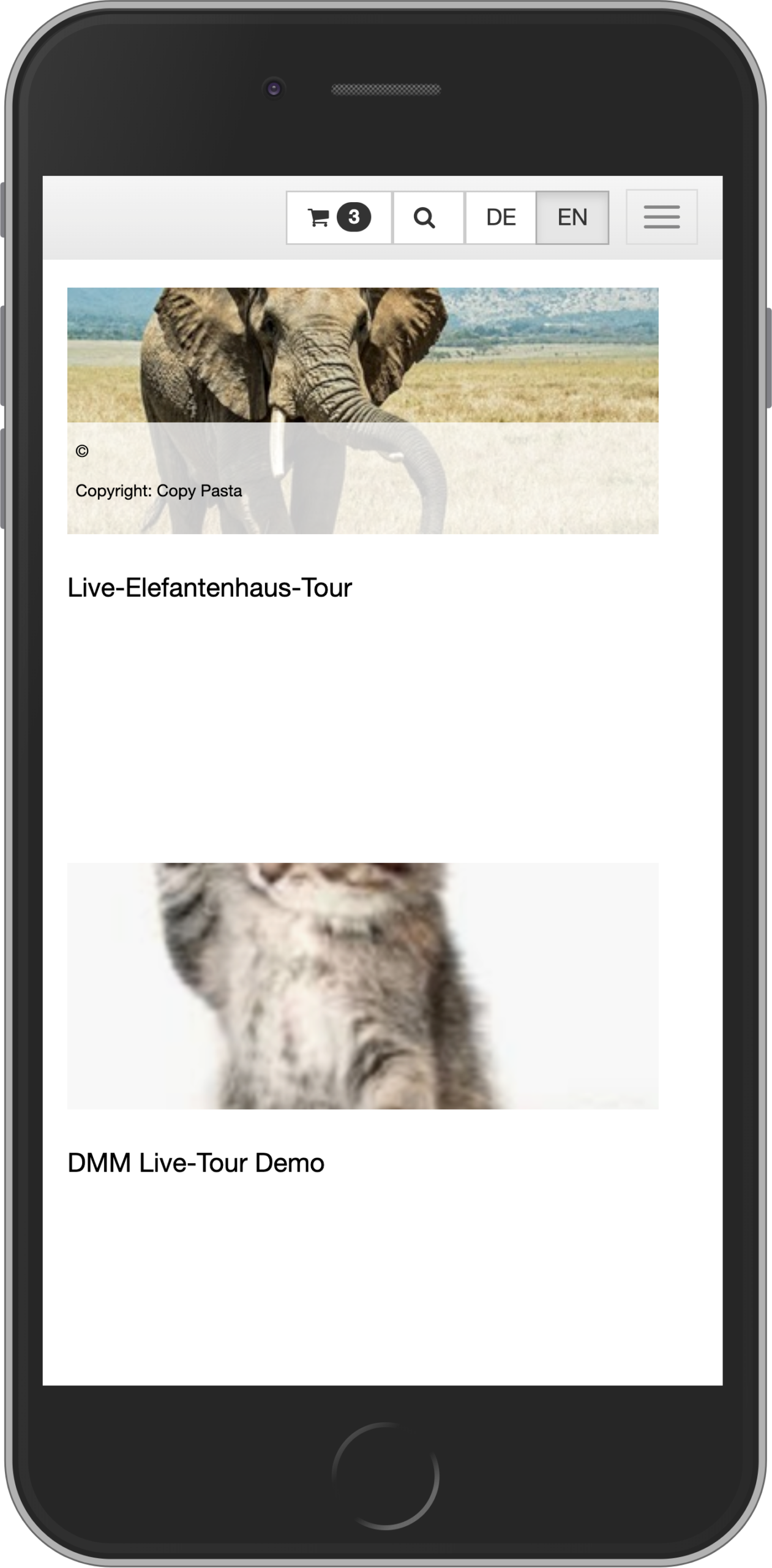 Mobile view of list of tours in group booking process in online shop